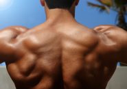 ハンドスタンドプッシュアップの人気記事ランキング一覧 トレーニングマスター