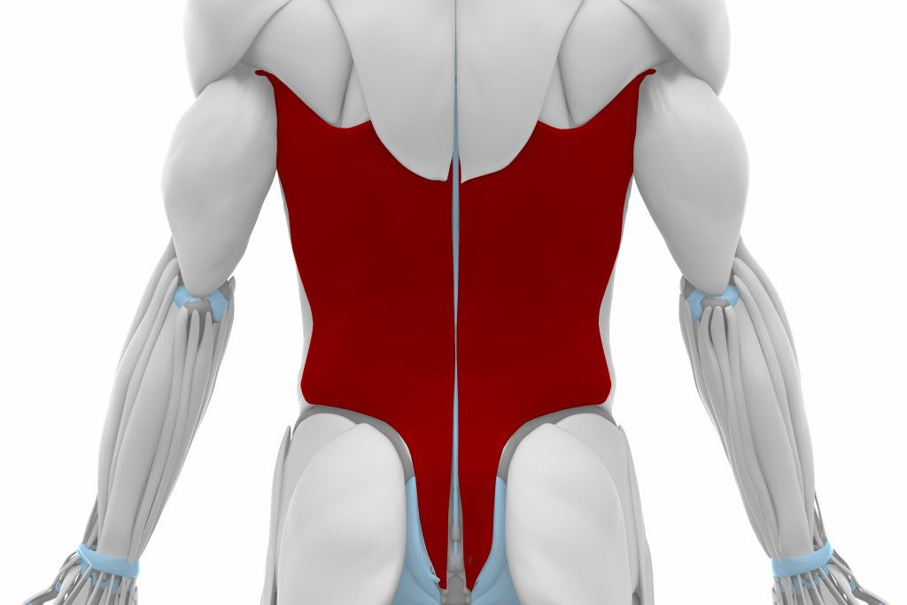 4. ウォールプレス