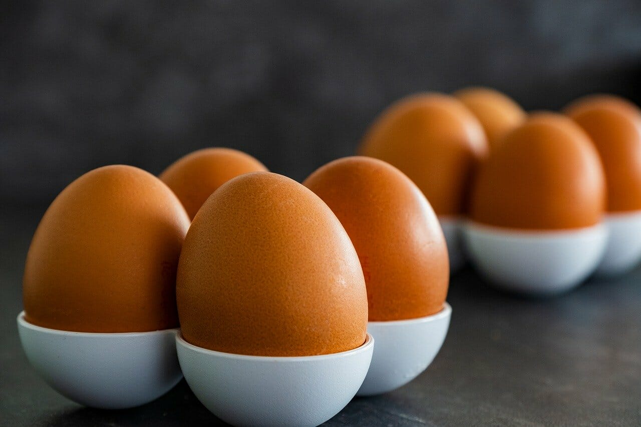 並んだ卵